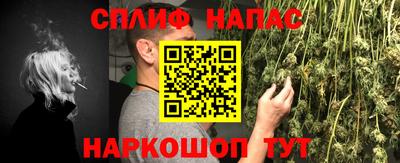 гидропоника Будённовск